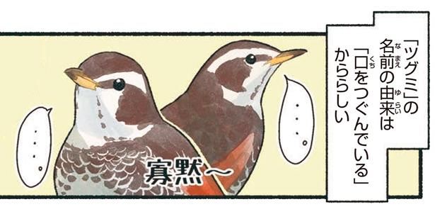 「ツグミ」の名前の由来は「口をつぐんでいるから」らしい （C）piro piro piccolo／KADOKAWA