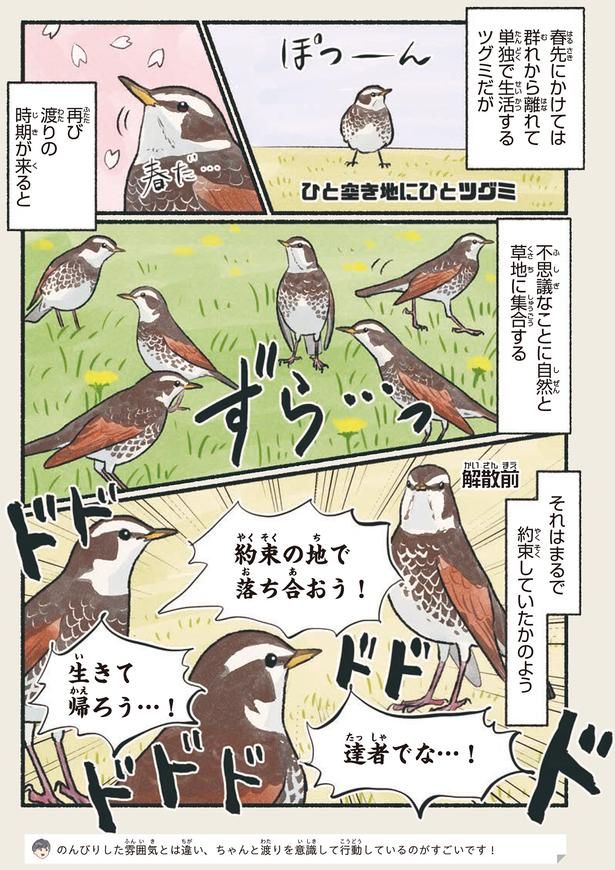 それはまるで約束していたかのよう （C）piro piro piccolo／KADOKAWA