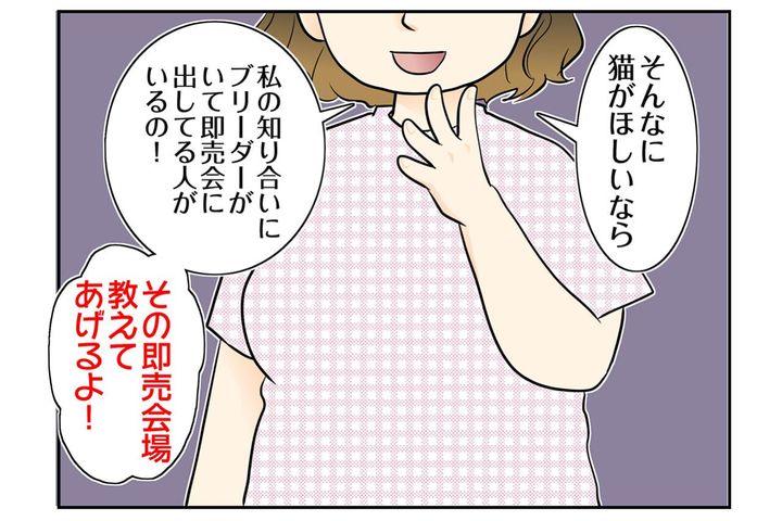【マンガ・老猫日誌＃101】「厄介な猫」その言葉に固まった日〜思い出の老猫日誌・桃姐と小論