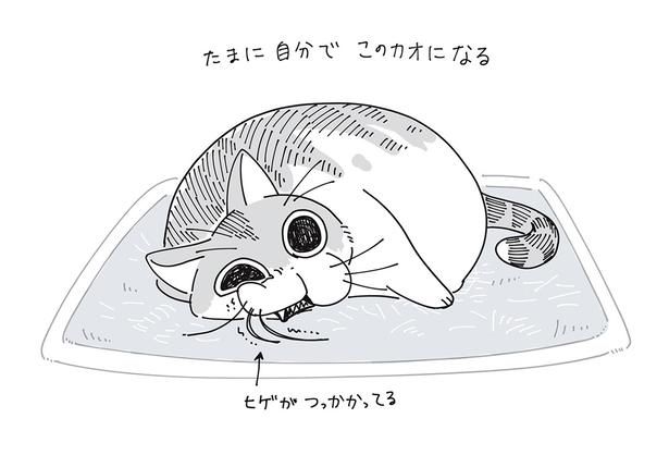 ヒゲがつっかかってる （C）キュルZ／KADOKAWA