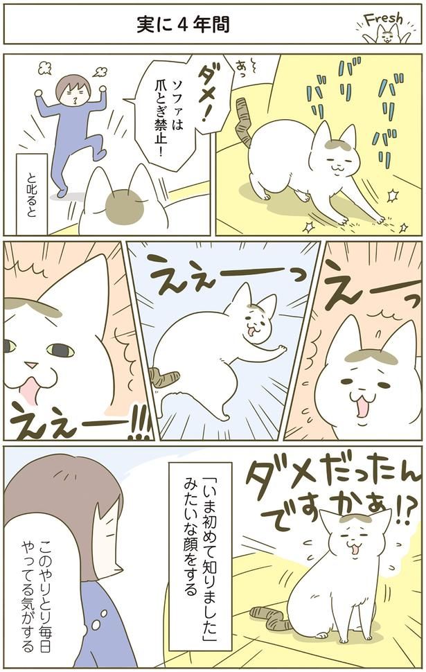 このやりとり毎日やってる気がする （C）卵山玉子／KADOKAWA