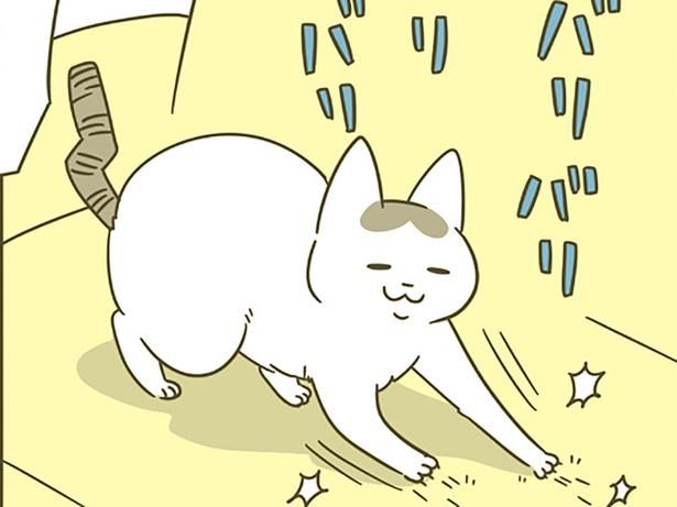 バリバリ爪とぎする猫 （C）卵山玉子／KADOKAWA