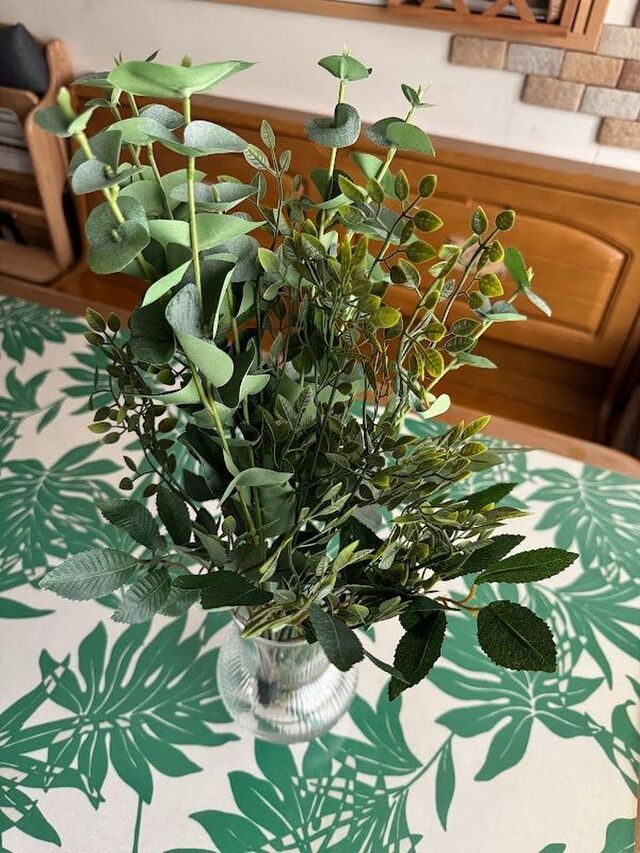 毎日の暮らしに彩りと植物を！