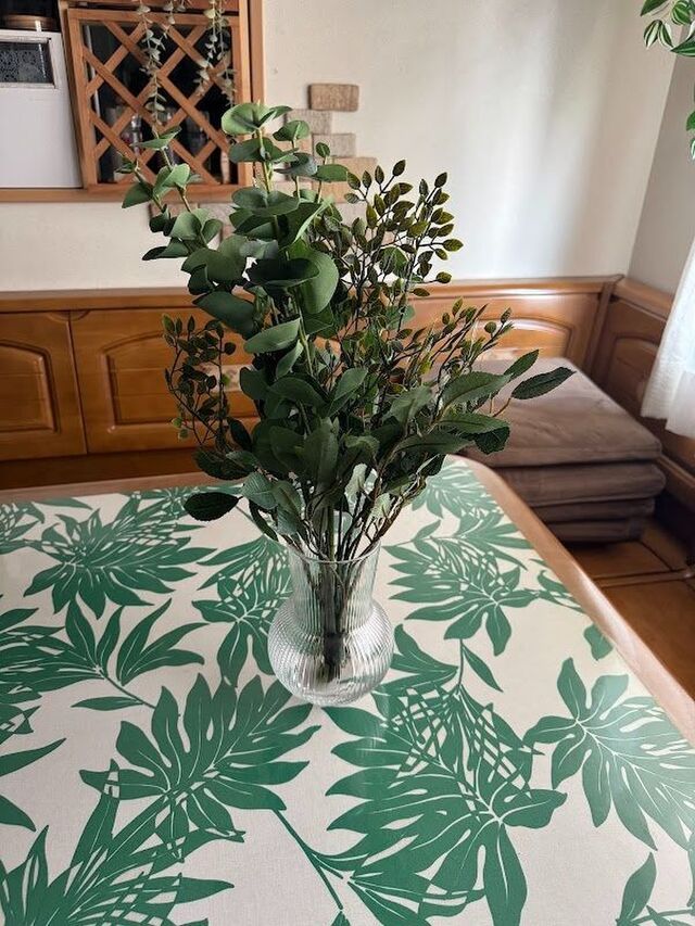 毎日の暮らしに彩りと植物を！