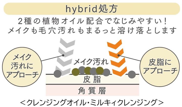 「hybrid処方」を説明する図