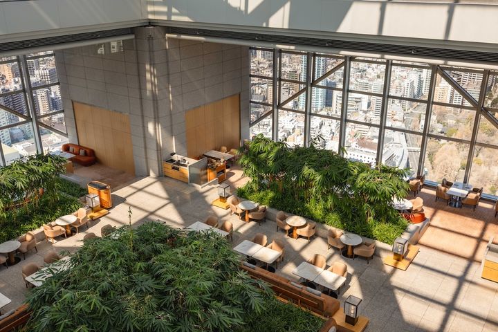 「ピーク ラウンジ＆バー」の店内を俯瞰撮影した写真