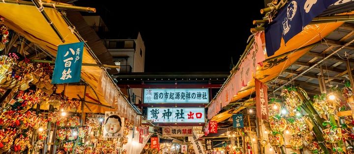 浅草鷲神社酉の市 東京都台東区 参拝道の景色 夜