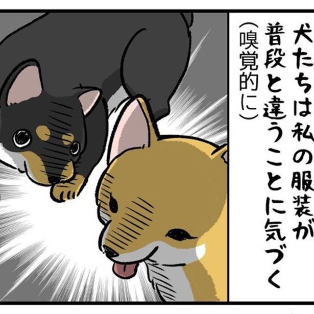 犬にファッションチェックをされると大体こうなる ユウコトリトリ(@yuko_toritori)