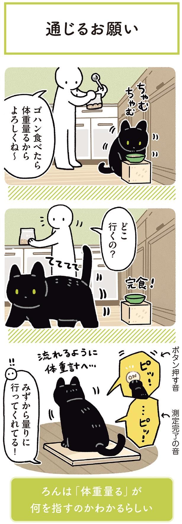 ゴハン食べたら体重量るからよろしくね～ （C）AKR／KADOKAWA