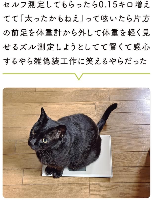 「太ったかもねえ」と呟くと （C）AKR／KADOKAWA