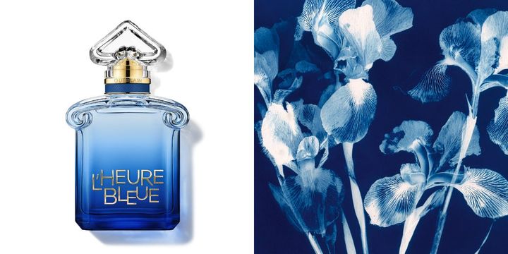 ゲラン新作香水「ルール ブルー」誕生｜調香師デルフィーヌ・ジェルク