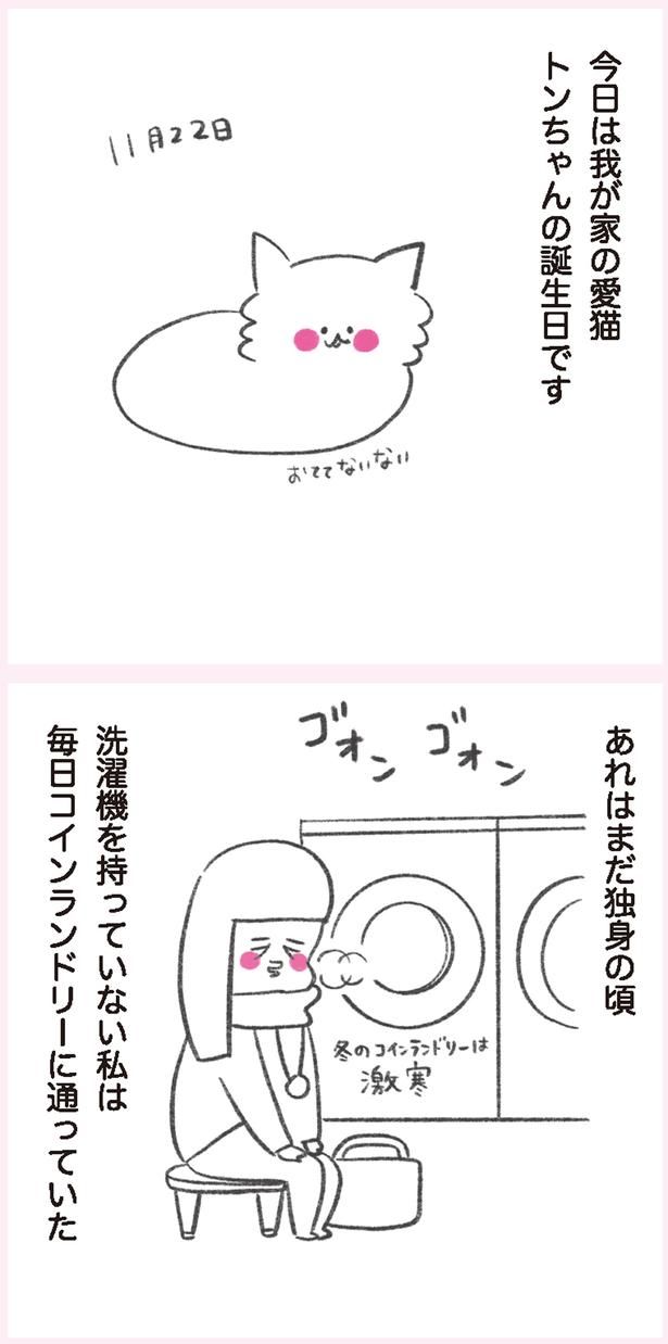 我が家の愛猫 （C）やまもとりえ／KADOKAWA