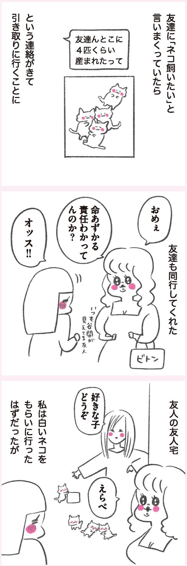ネコ飼いたい （C）やまもとりえ／KADOKAWA