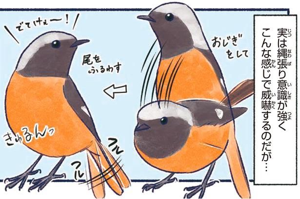 こんな感じで威嚇するのだが… （C）piro piro piccolo／KADOKAWA