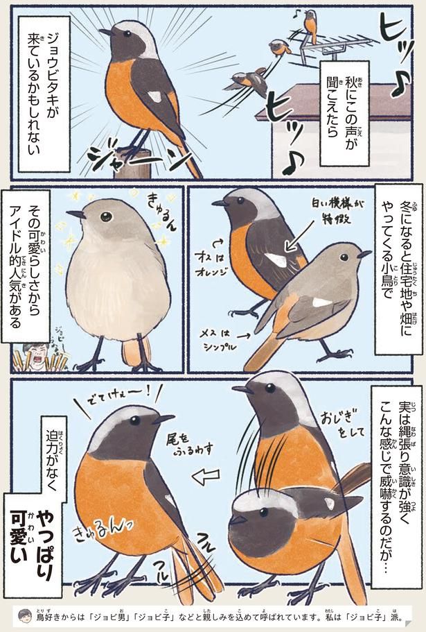 アイドル的人気がある （C）piro piro piccolo／KADOKAWA