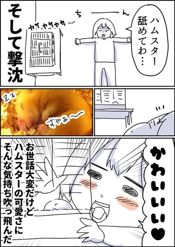 1-3 画像提供：しゃけなかほいさん