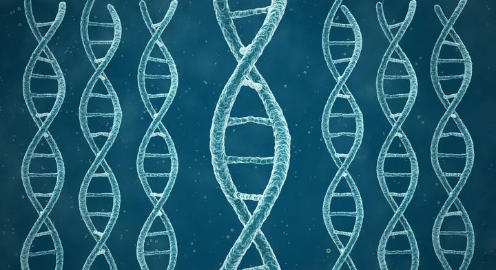 幽霊DNAの1つは全員が持っていた