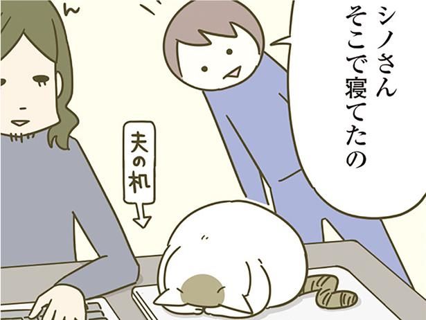 ノートパソコンの上で （C）卵山玉子／KADOKAWA