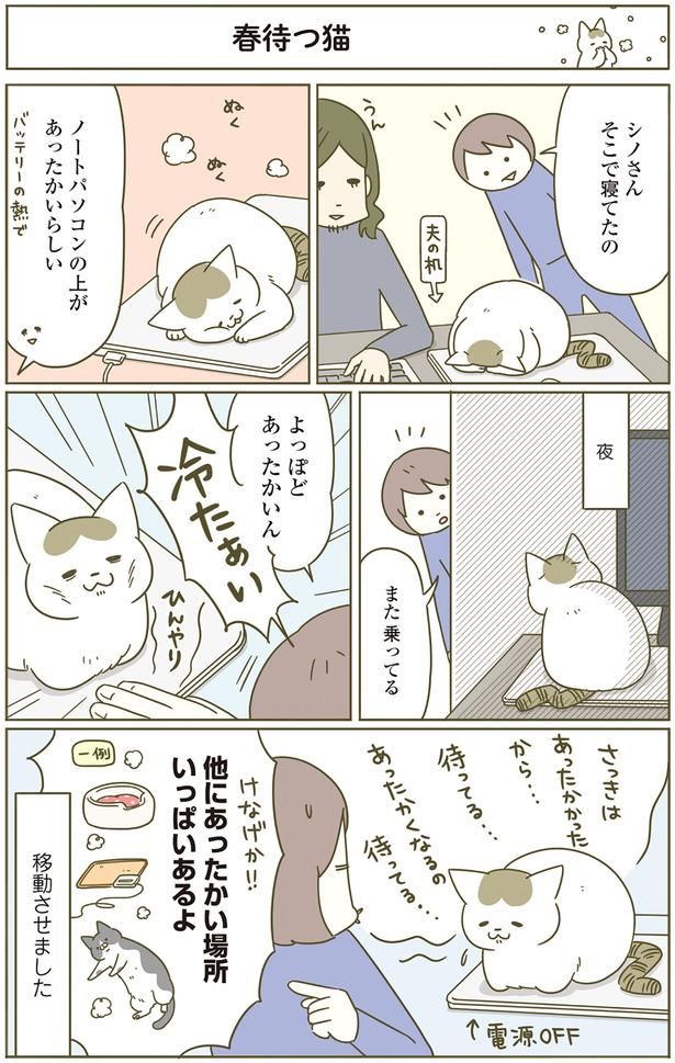 ノートパソコンの上があったかいらしい （C）卵山玉子／KADOKAWA