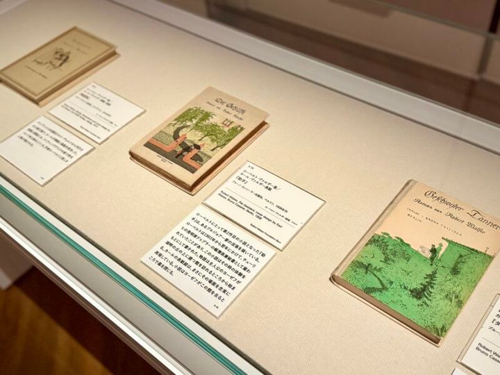 大阪中島美術館 カール・ヴァルザー展07
