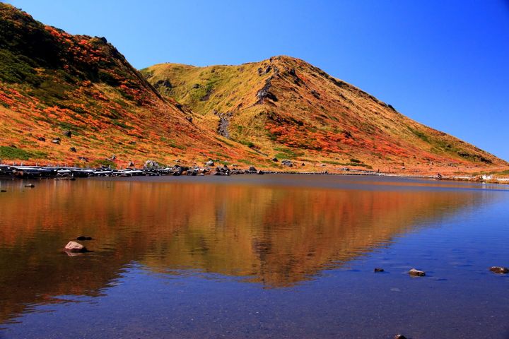 紅葉に染まる秋田駒ケ岳の山肌と湖