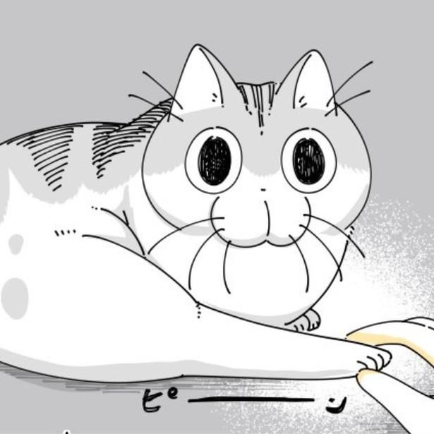 愛猫の手だと思って触る飼い主だが…!? 画像提供：キュルZ@kyuryuZ