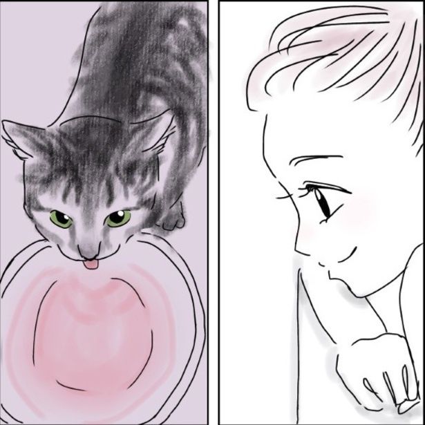 うちの猫の話 (C)万福
