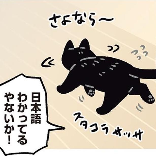 日本語わかってるやないか！ （C）AKR／KADOKAWA