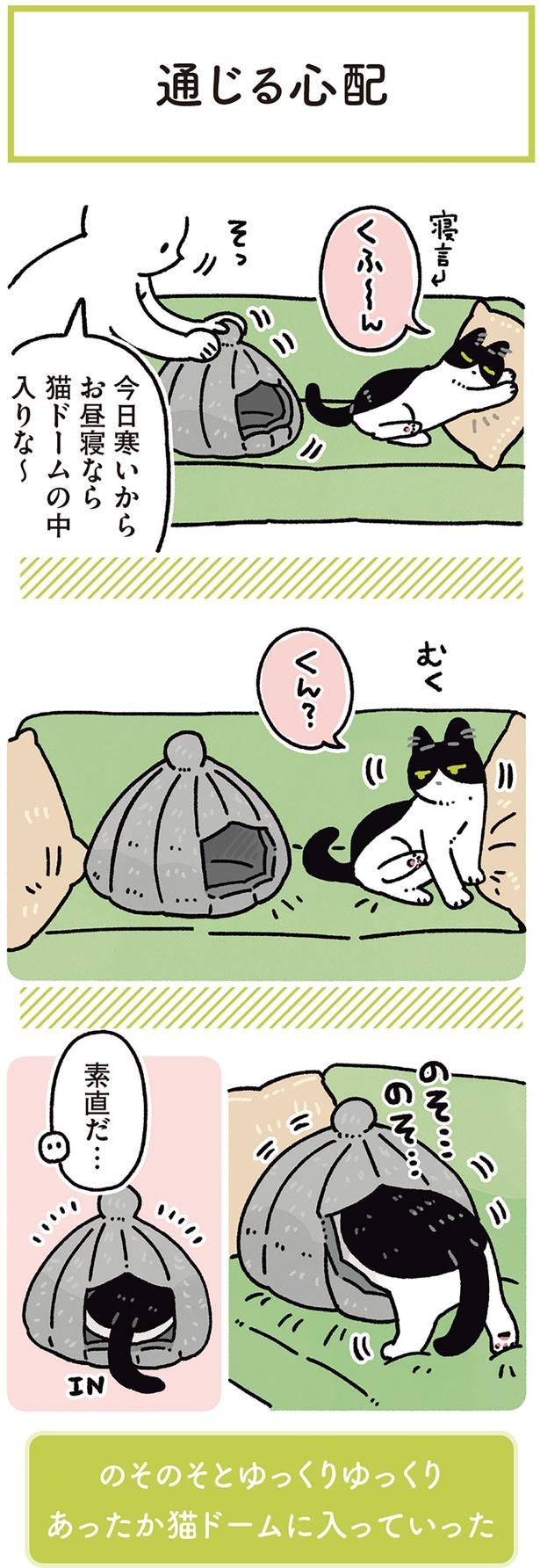 今日寒いからお昼寝なら猫ドームの中入りな～ （C）AKR／KADOKAWA