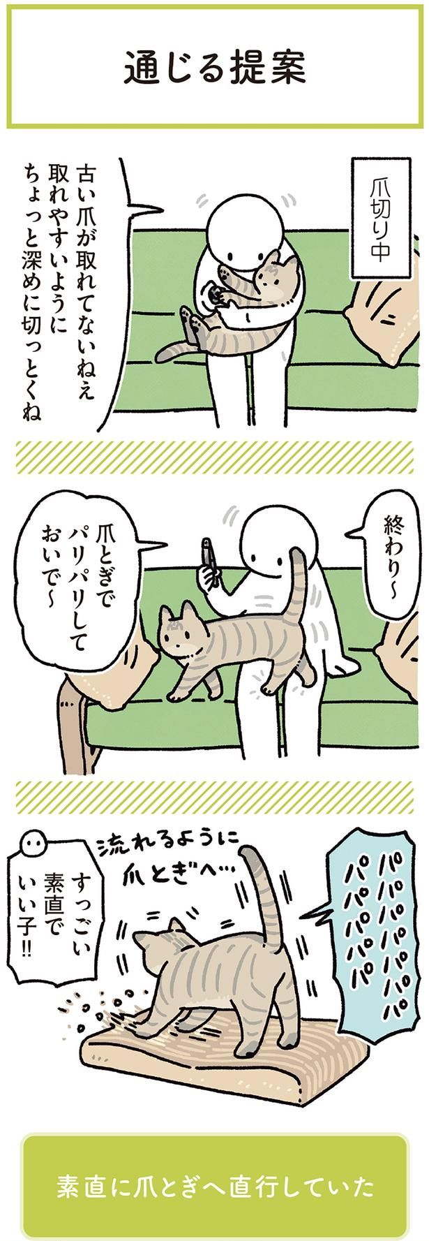 爪とぎでパリパリしておいで～ （C）AKR／KADOKAWA