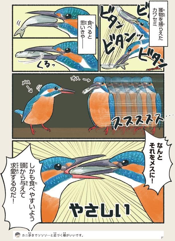 なんとそれをメスに！ （C）piro piro piccolo／KADOKAWA