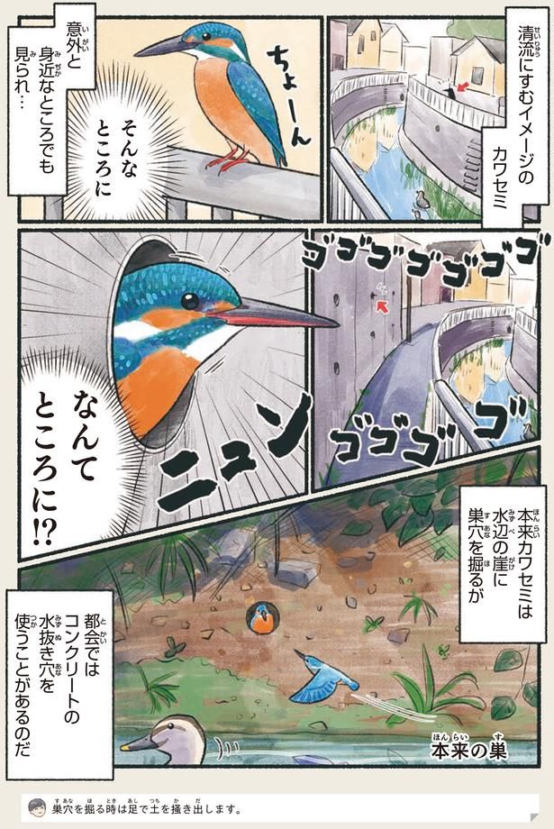 なんてところに！？ （C）piro piro piccolo／KADOKAWA