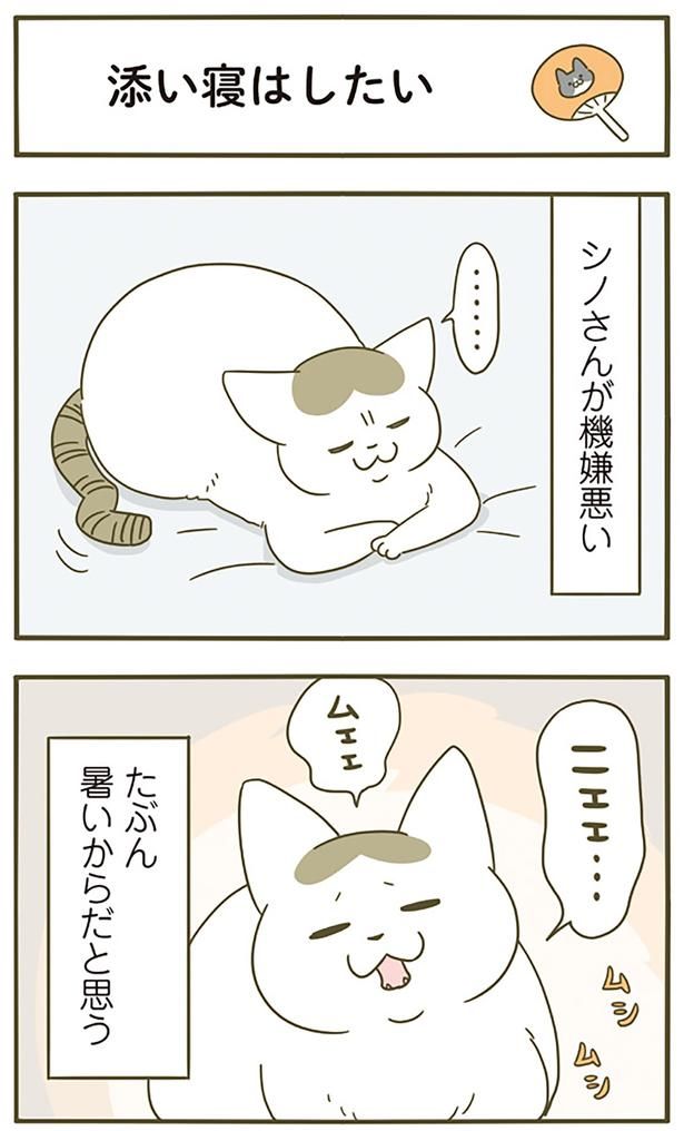 機嫌が悪いシノさん （C）卵山玉子／KADOKAWA
