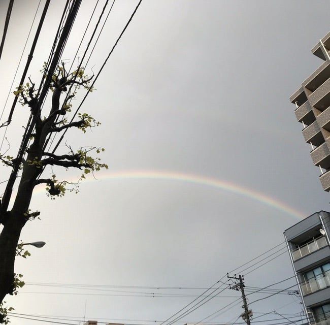 母の認知症介護日記／ワフウフ