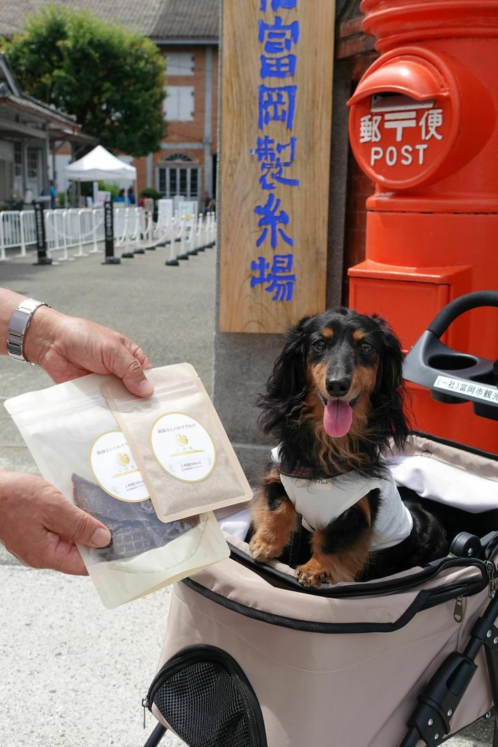 ジェスちゃん(5,555匹目)と「富岡製糸場」の看板