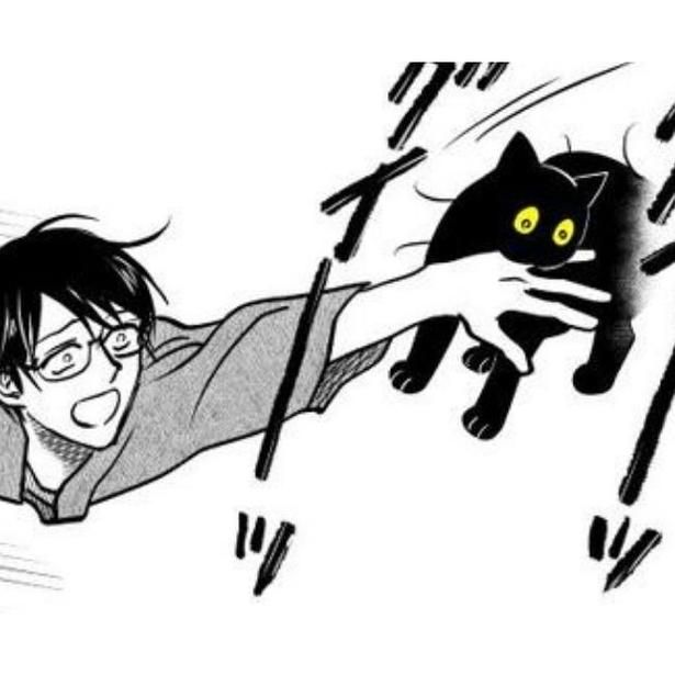 めっちゃ運ぶ猫 画像提供：筆坊日記(@720yushin)