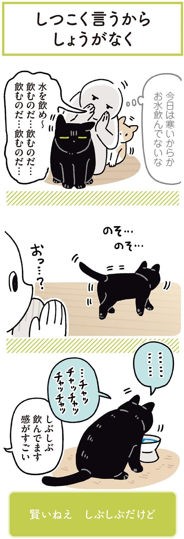しぶしぶ飲んでます感がすごい （C）AKR／KADOKAWA