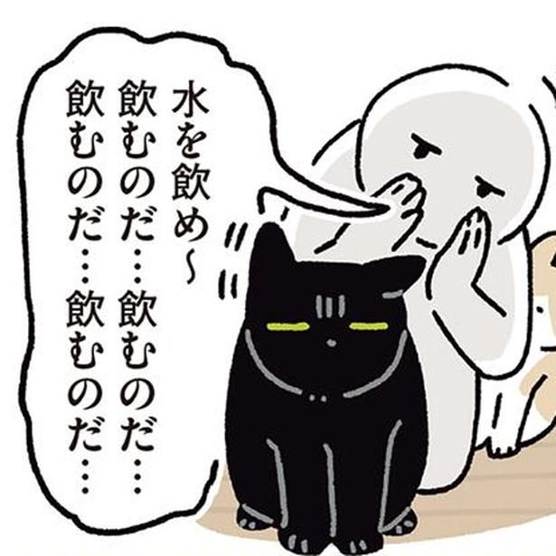 飲むのだ…飲むのだ… （C）AKR／KADOKAWA