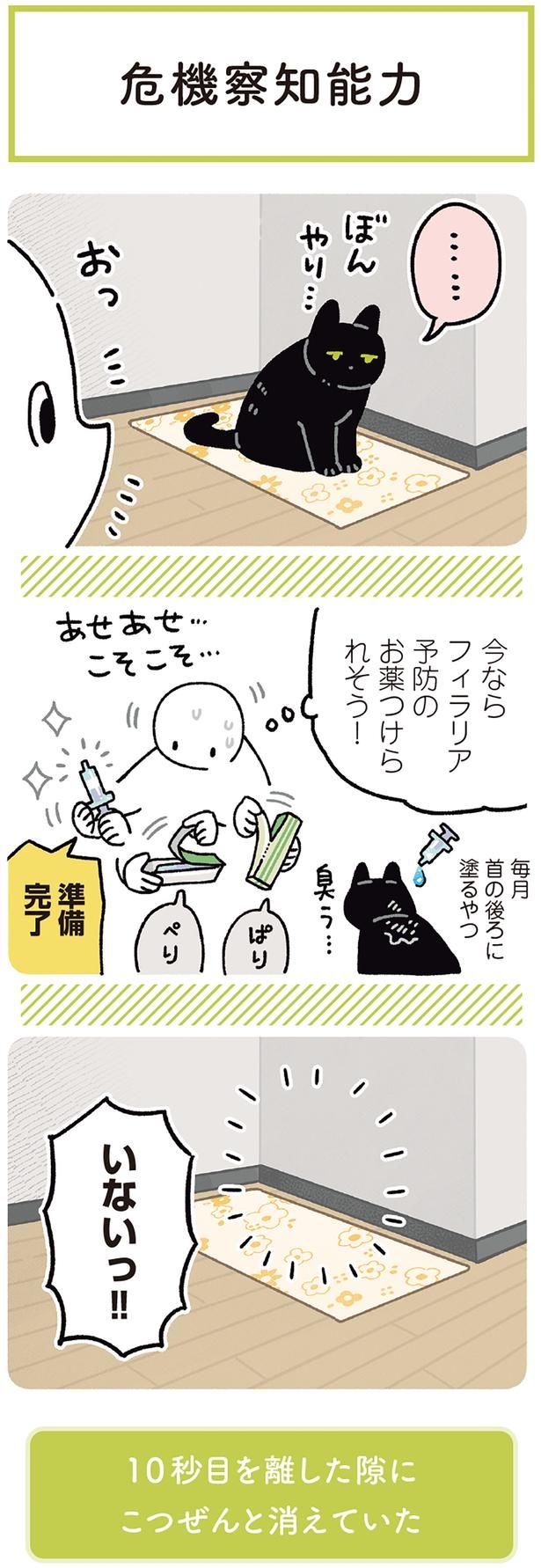 今ならフィラリア予防のお薬つけられそう！ （C）AKR／KADOKAWA
