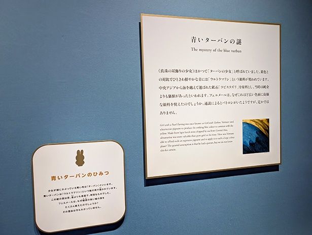 壁に設置された説明パネル。向かって左側は、子ども向けのジュニアパネル