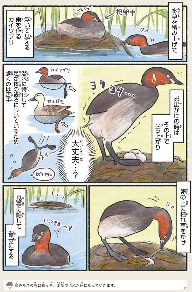 大丈夫…？ （C）piro piro piccolo／KADOKAWA