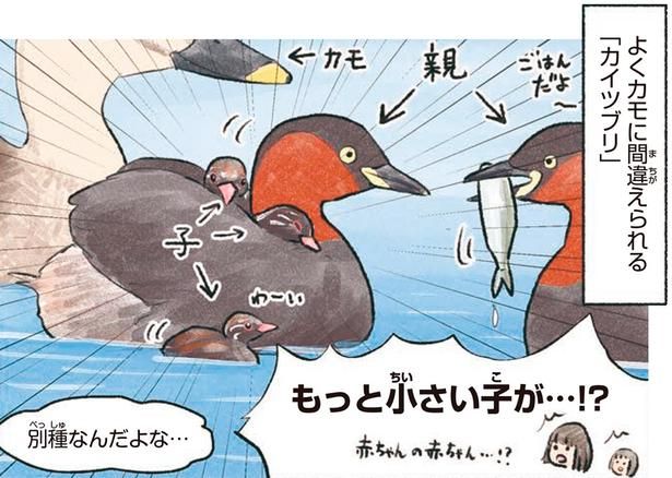 もっと小さい子が…！？ （C）piro piro piccolo／KADOKAWA
