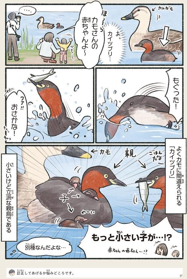 別種なんだよな… （C）piro piro piccolo／KADOKAWA