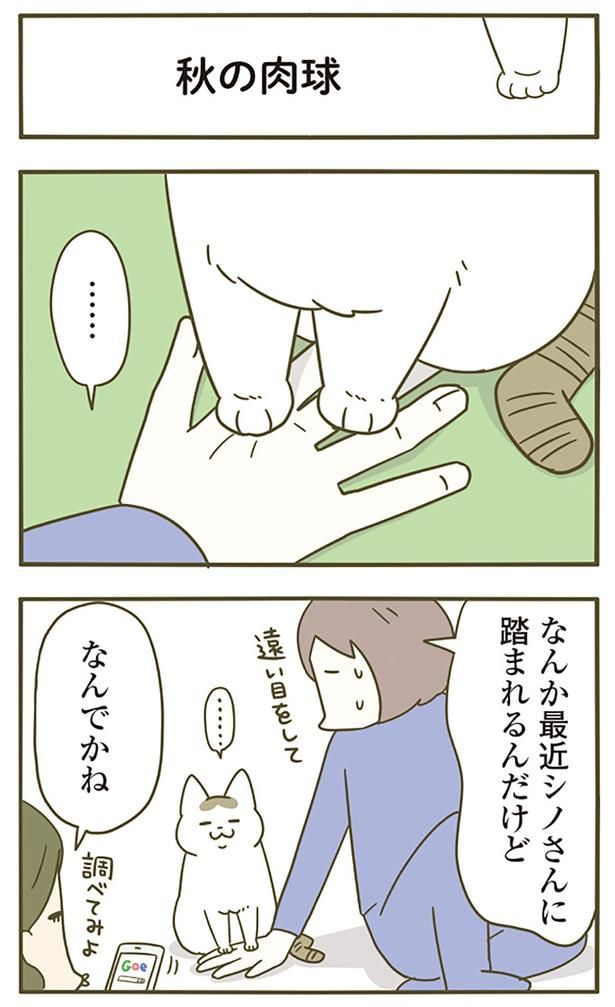 なんでかね （C）卵山玉子／KADOKAWA