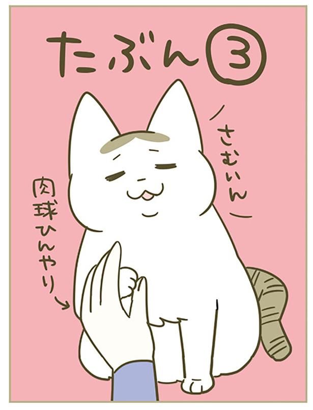 さむいん （C）卵山玉子／KADOKAWA