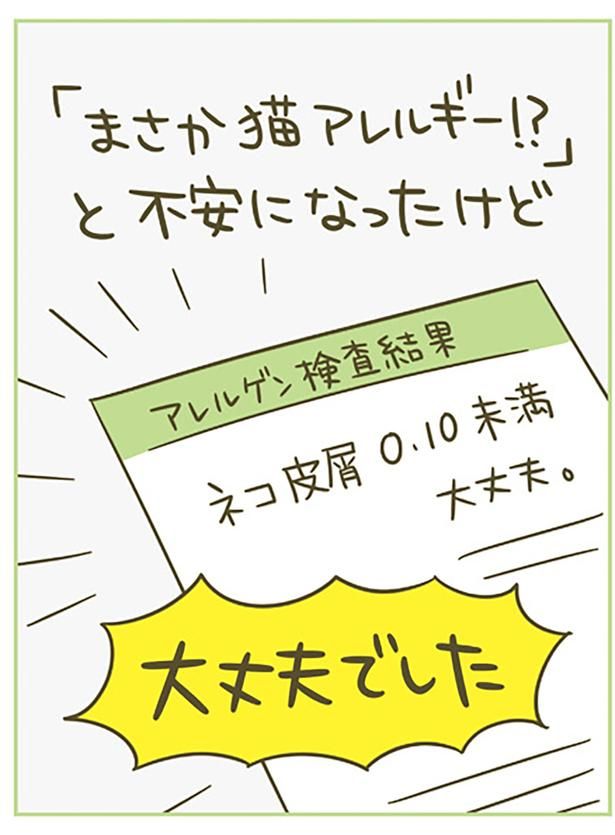 「まさか猫アレルギー！？」と不安になったけど大丈夫でした （C）卵山玉子／KADOKAWA