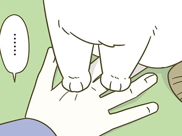 猫によく踏まれる （C）卵山玉子／KADOKAWA