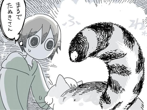 しっぽを膨らませている猫に触りたい （C）キュルZ／KADOKAWA
