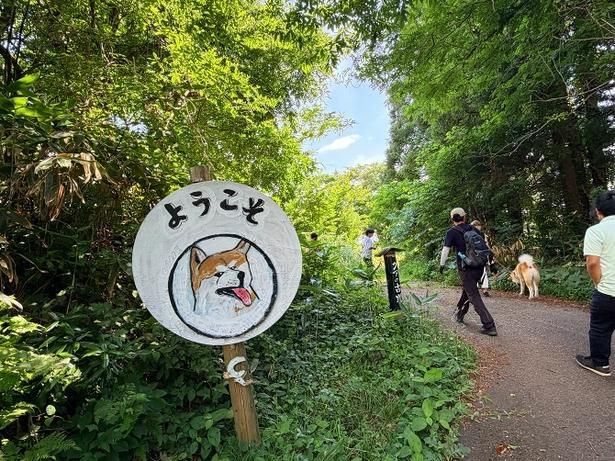 動物の癒し効果や健康維持に役立つ歩き方などをウォーキングガイドがアドバイスしてくれる