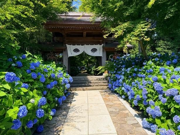 「死ぬまでに行きたい!世界の絶景」国内ベスト絶景 第1位(2017)